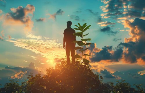 Decision & Mental Mastery